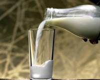 О вреде молока